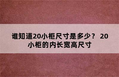 谁知道20小柜尺寸是多少？ 20小柜的内长宽高尺寸